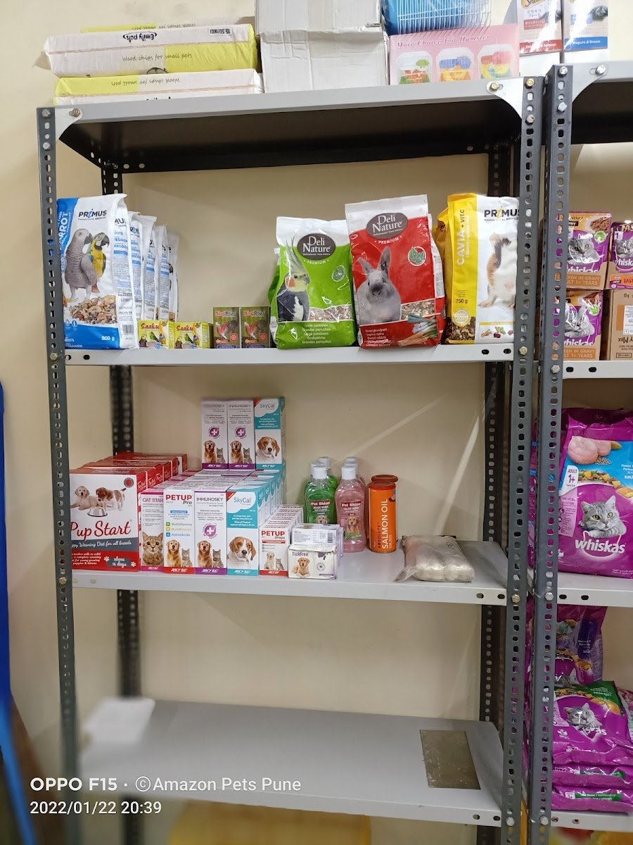 Amazon Pets Pune - Photo 2
