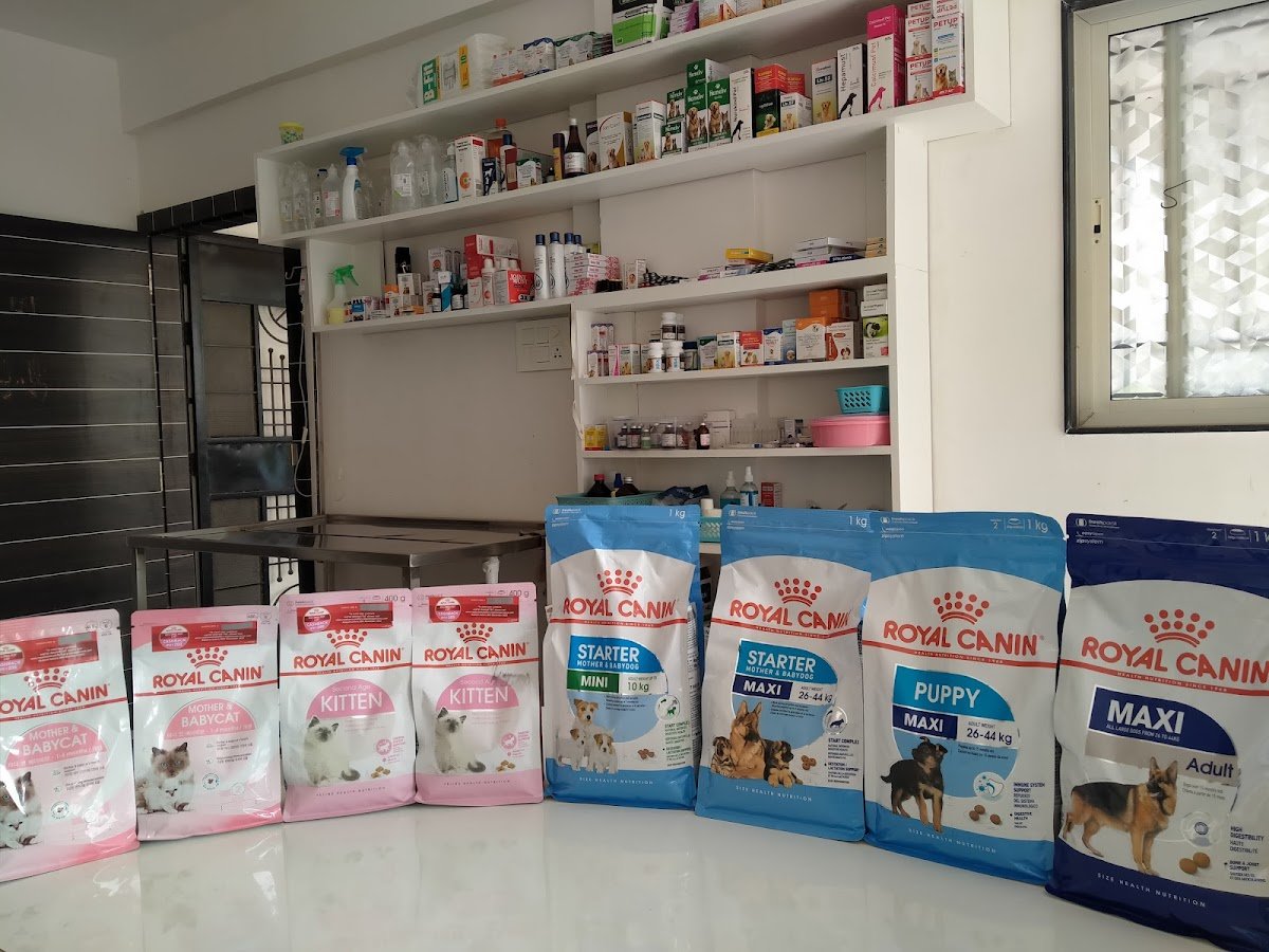 Pawsitive Pet Clinic - Photo 2