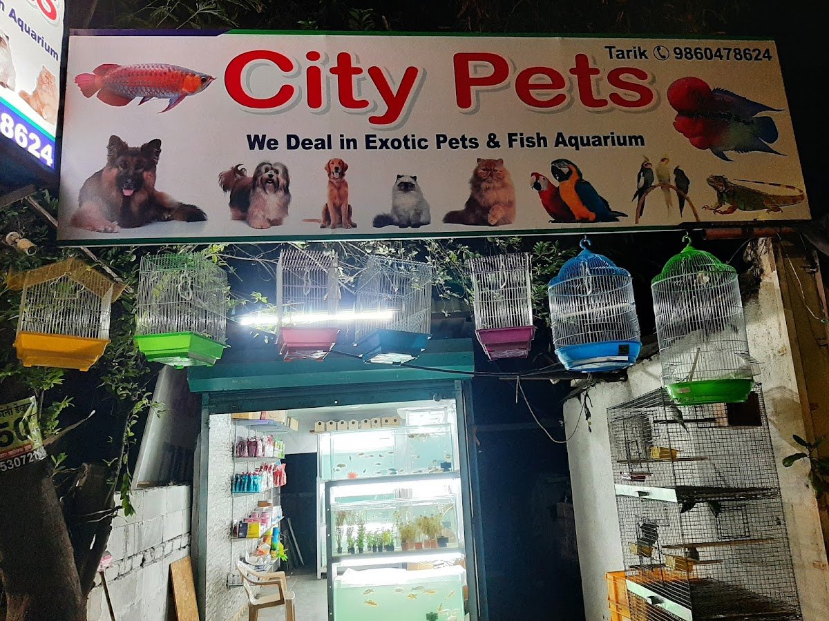 City Pets - Photo 2