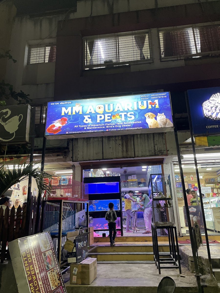 M.M Aquarium - Photo 2