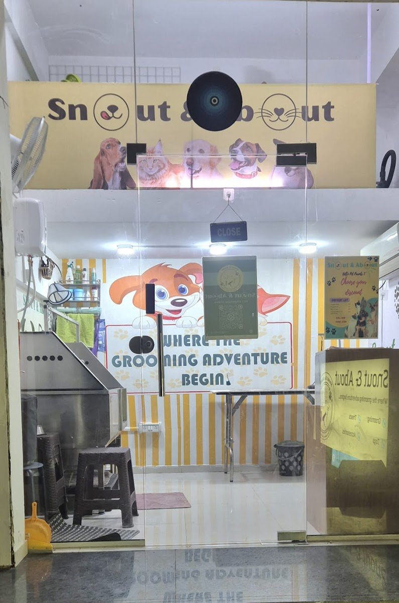 Snout&About - Photo 2