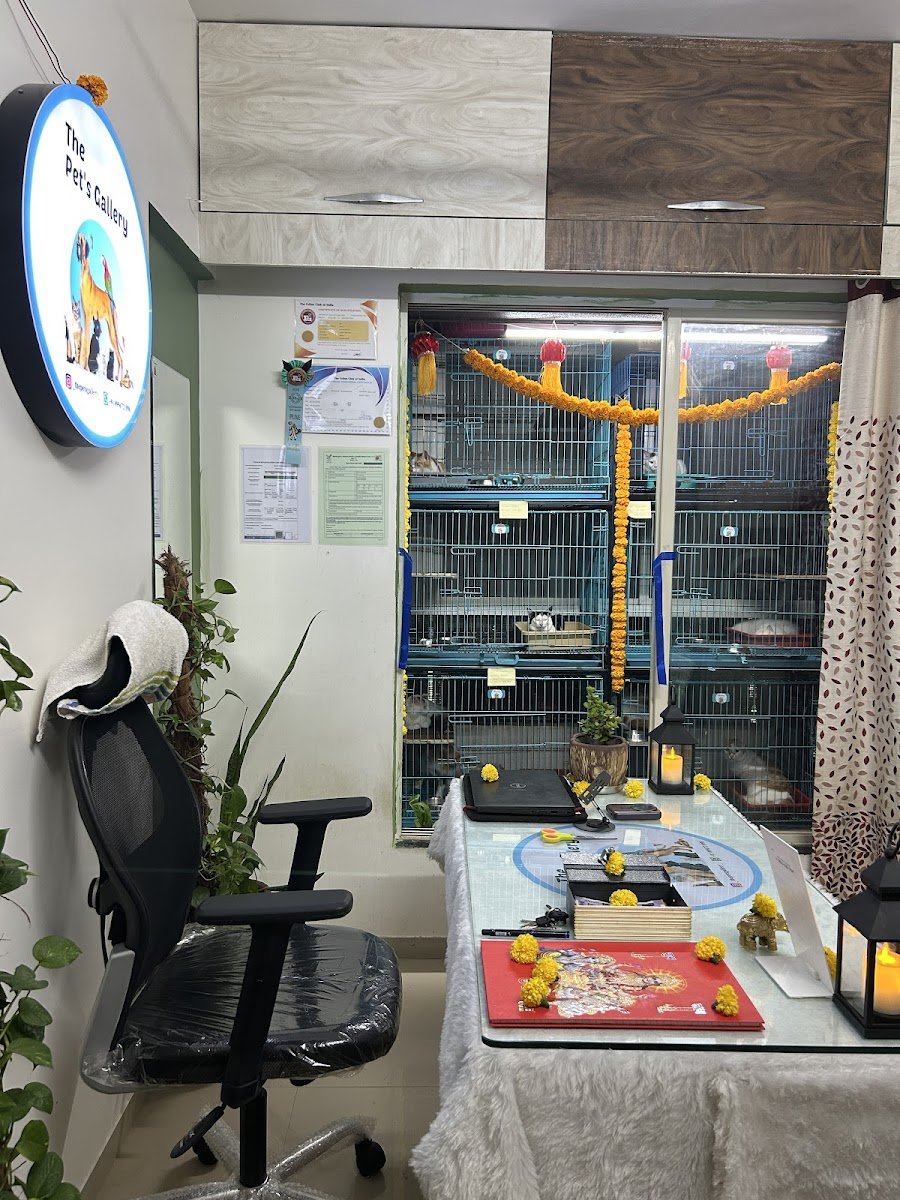 The Pet’s Gallery - Photo 2