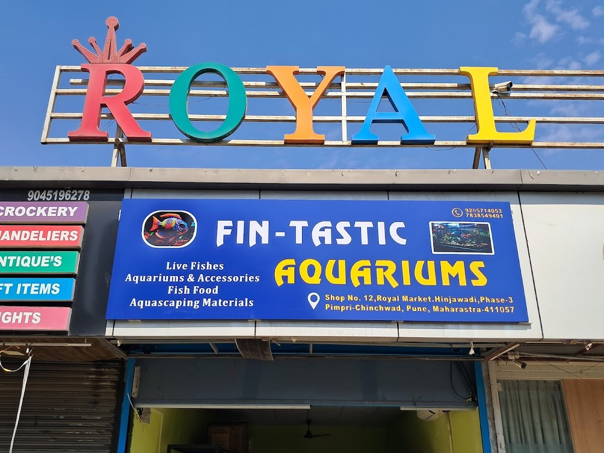 Fin-Tastic Aquariums - Photo 2