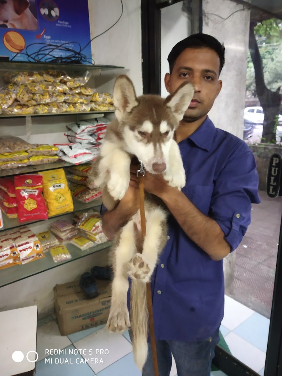 Prayag's Pet shop - Photo 2
