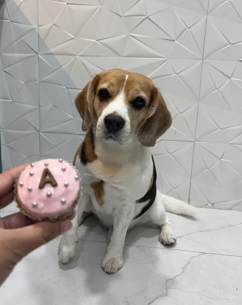 Coco's Cakery - Photo 2