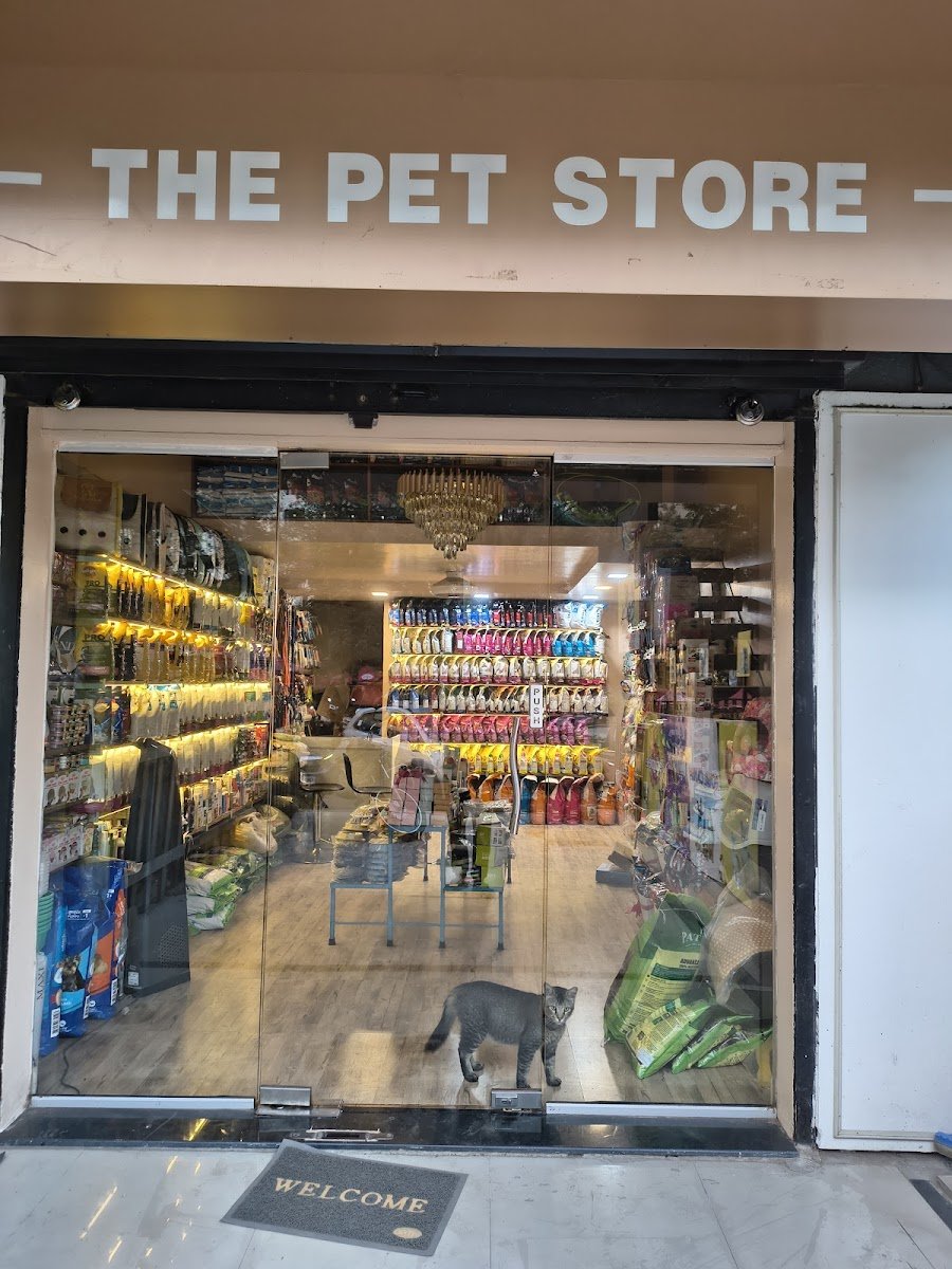 Pet's Bay & Co - Photo 2