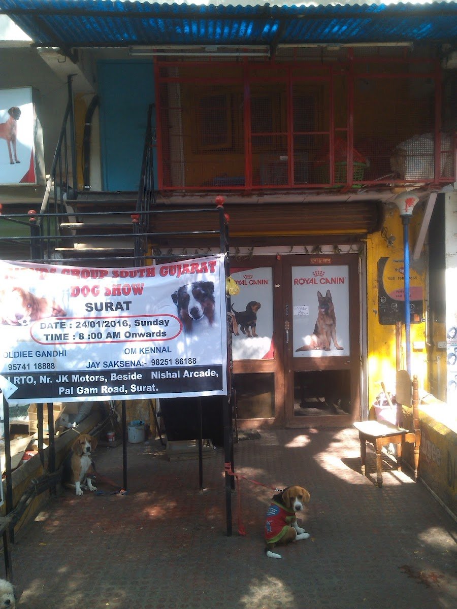 Oum Kennel - Photo 2