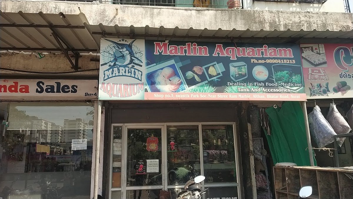 Marlin's Aquarium - Photo 2