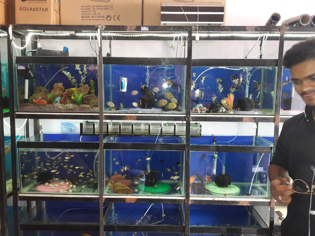 Ocean Aquarium - Photo 2