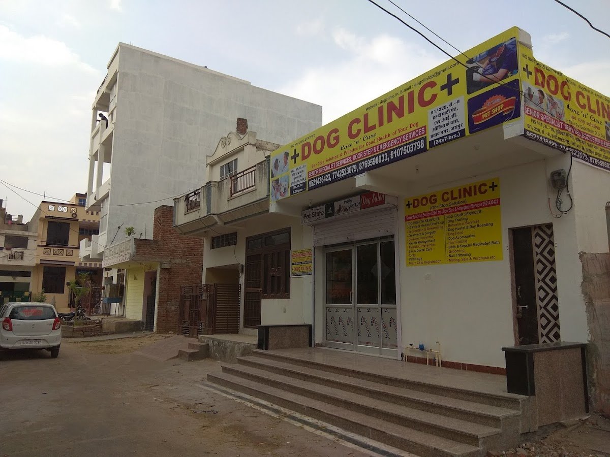 Dog Clinic - Photo 2