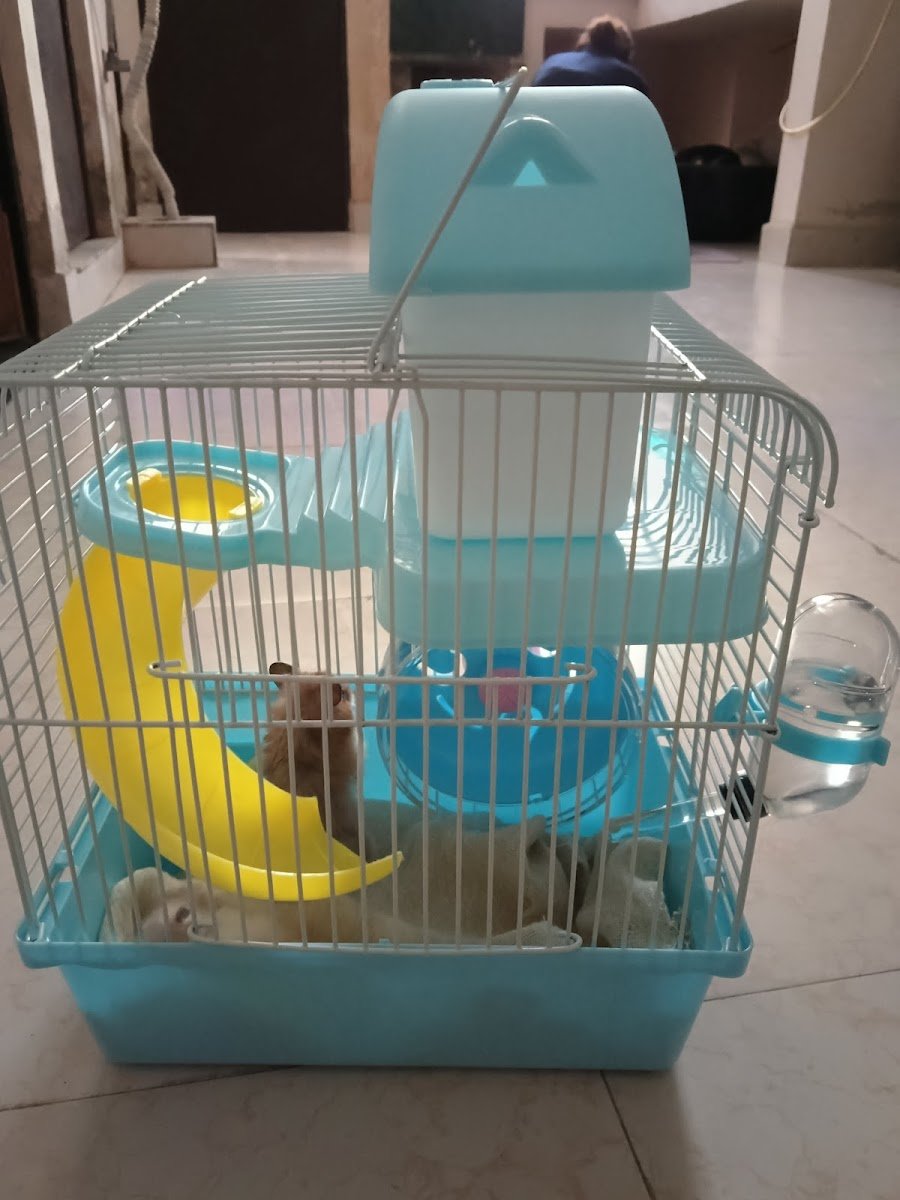 Rk Hamster - Photo 2