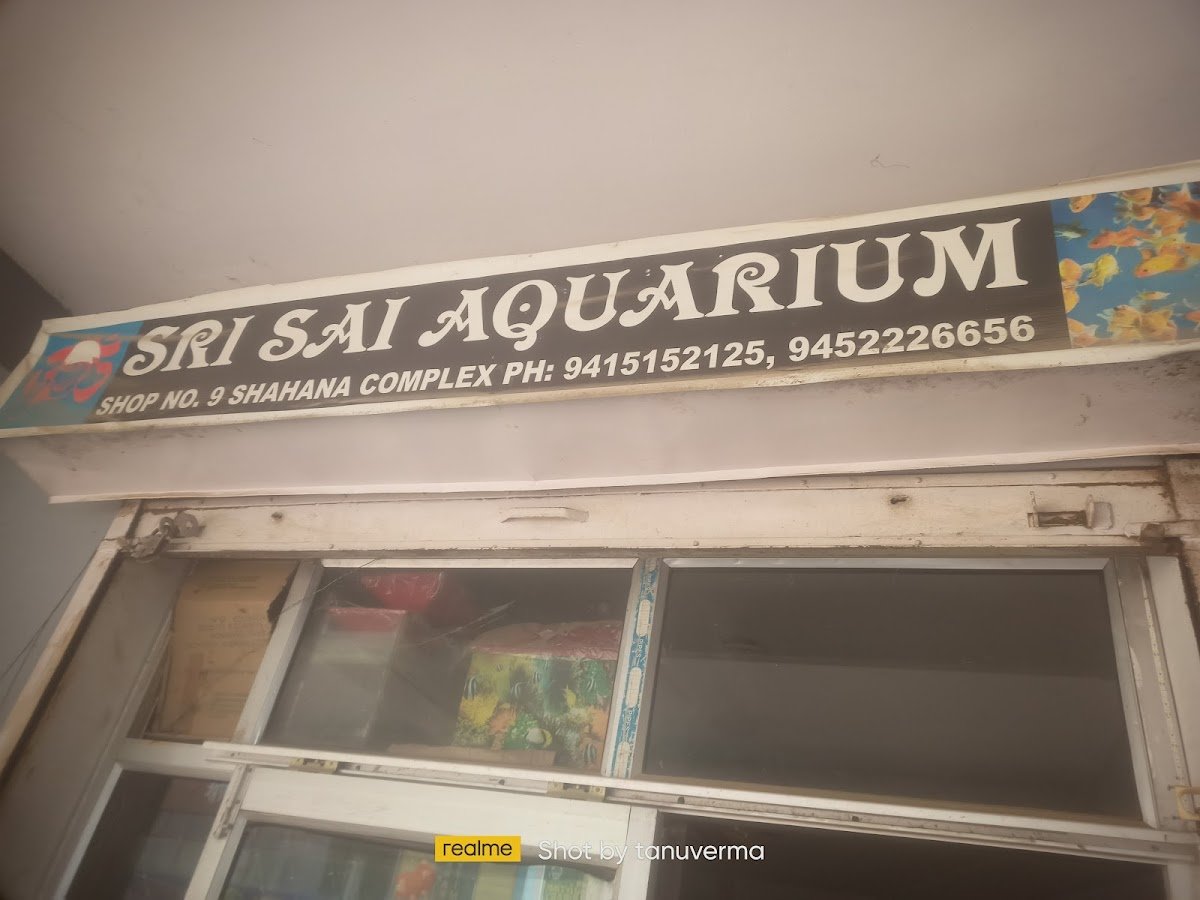 SRI SAI AQUARIUM - Photo 2