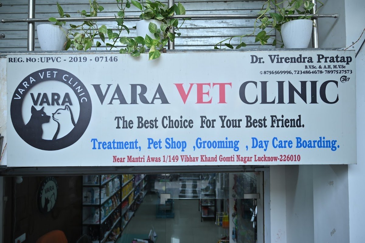 VARA VET CLINIC - Photo 2