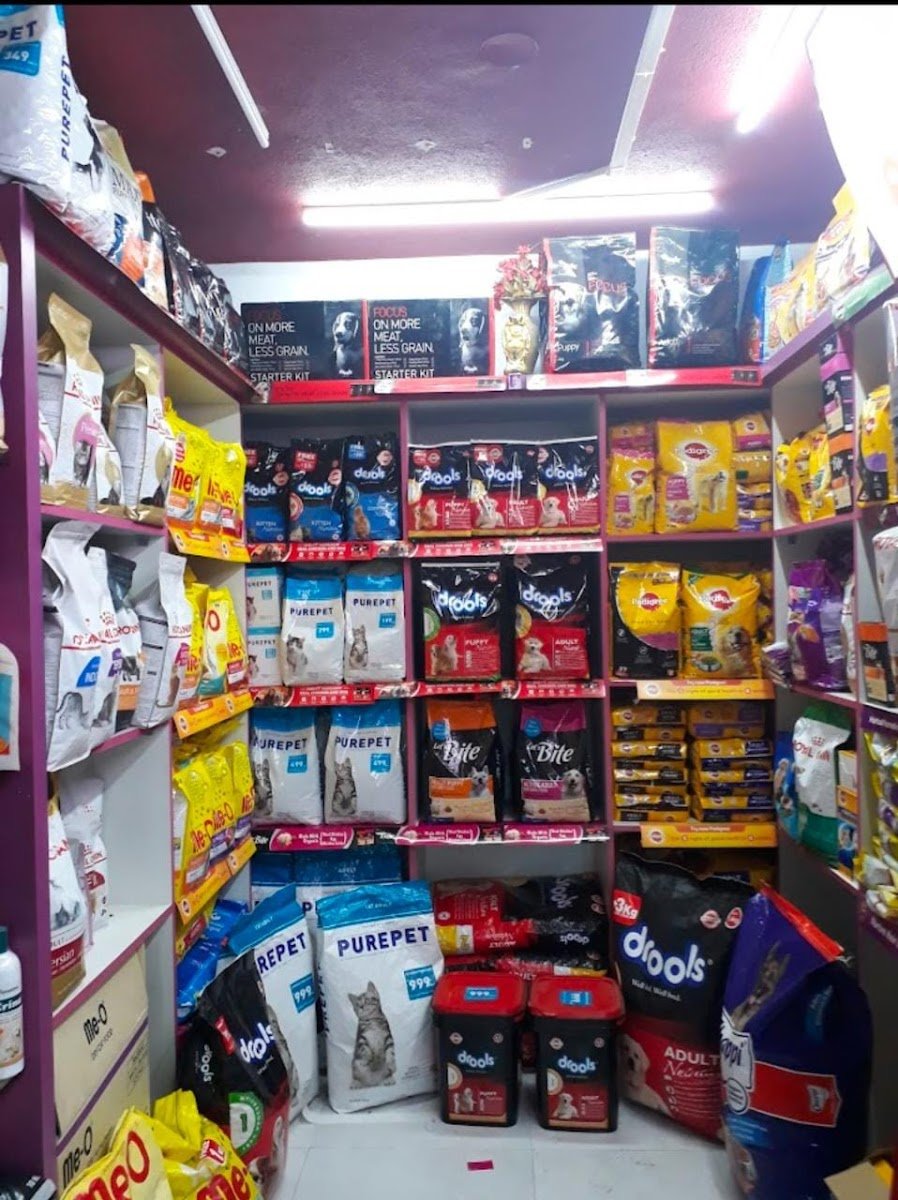 Pets Adda lucknow - Photo 2