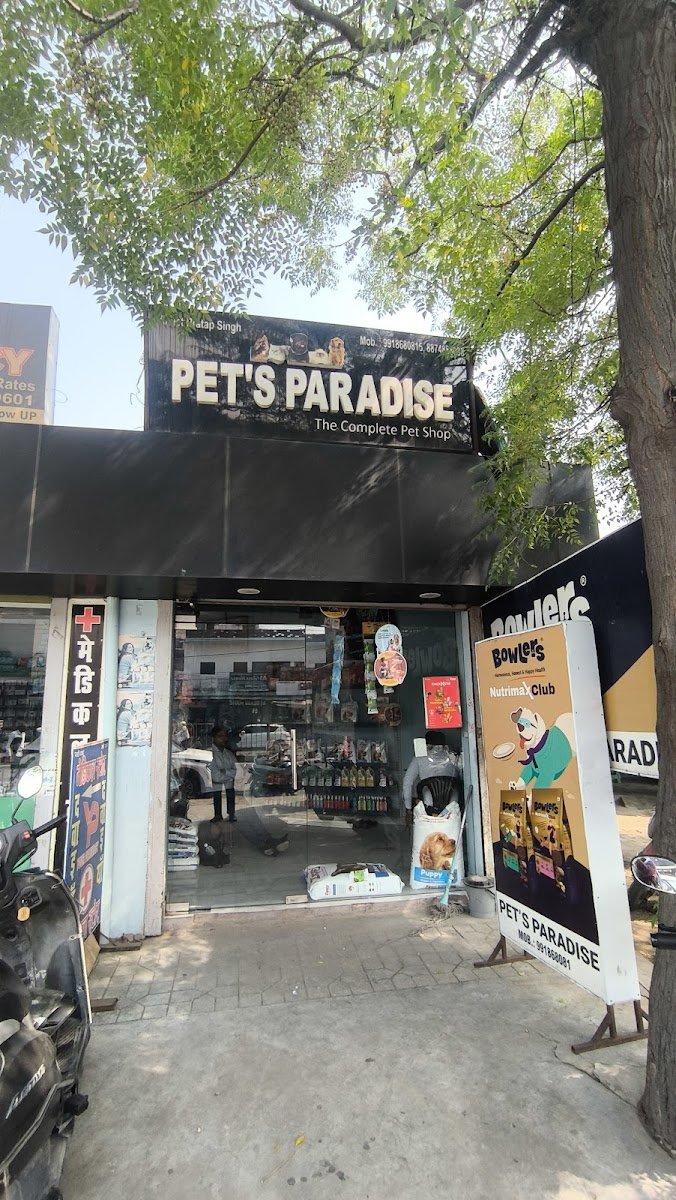 Pet’s Paradise - Photo 2