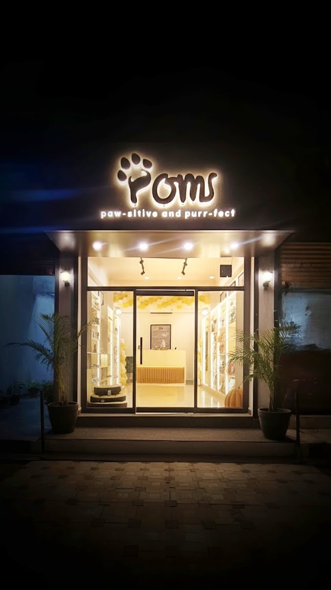 POM Mini Pet Studio - Photo 2