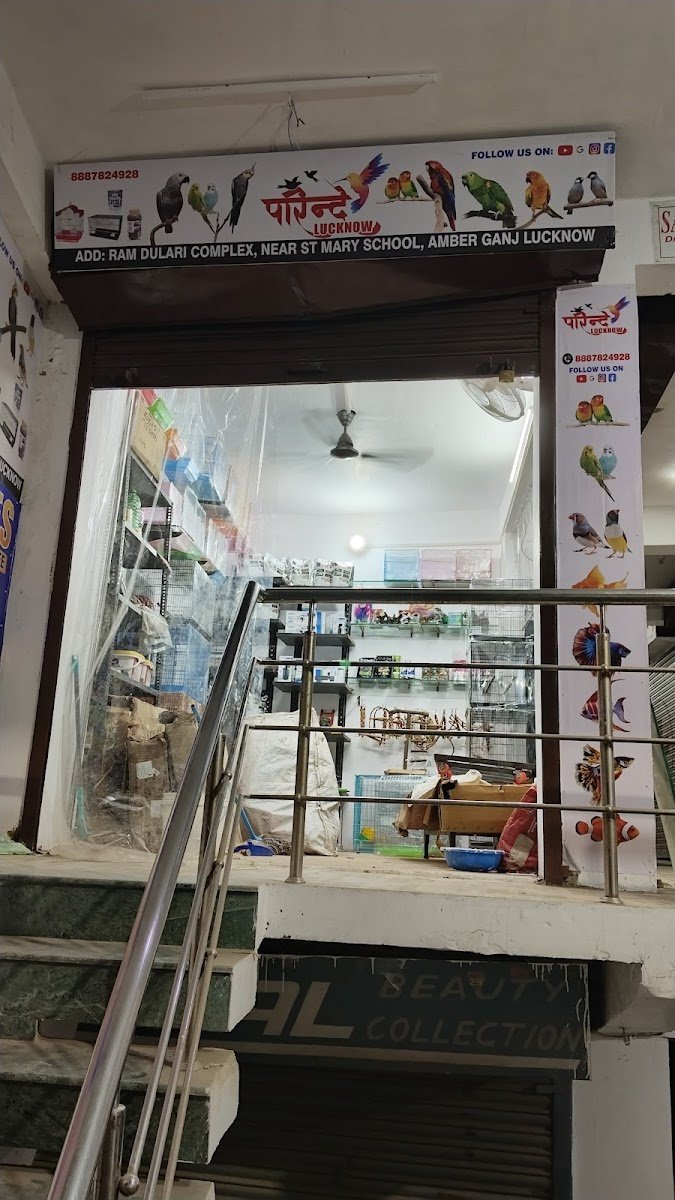 Parindey Lucknow - Photo 2
