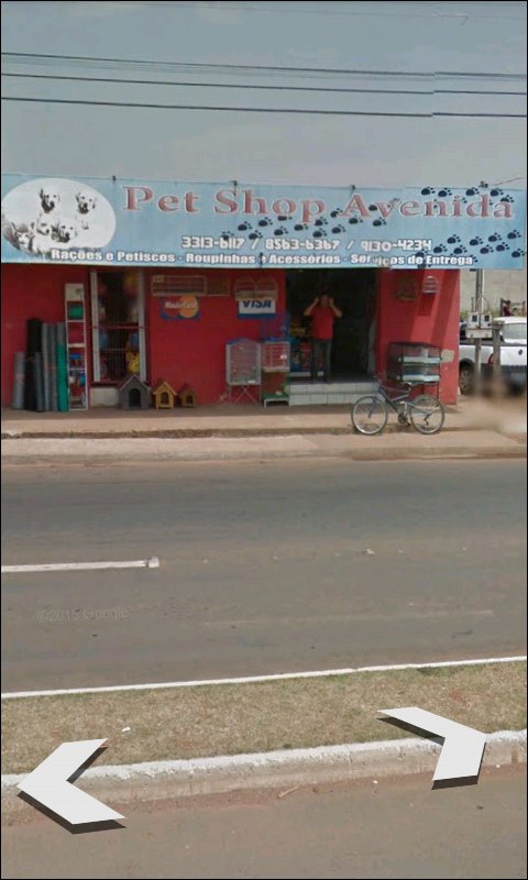 Pet Shop Avenida