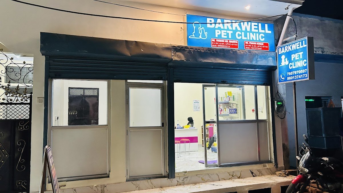 Barkwell pet clinic - Photo 2