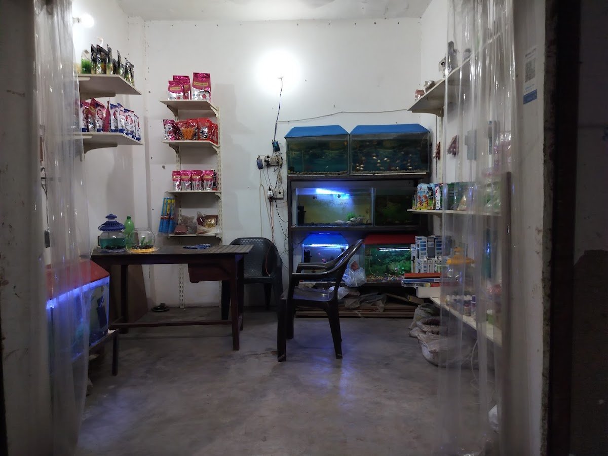 Aquarium point - Photo 2