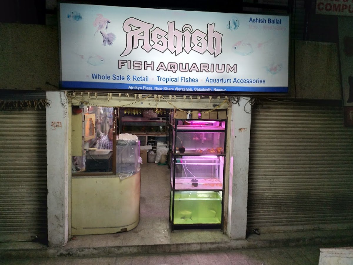FISH AQUARIUM - Photo 2