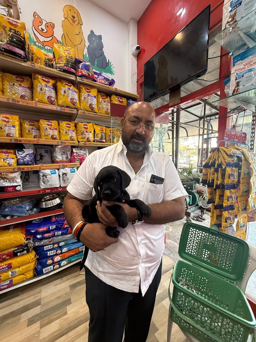 Sai Pet Shop - Photo 2