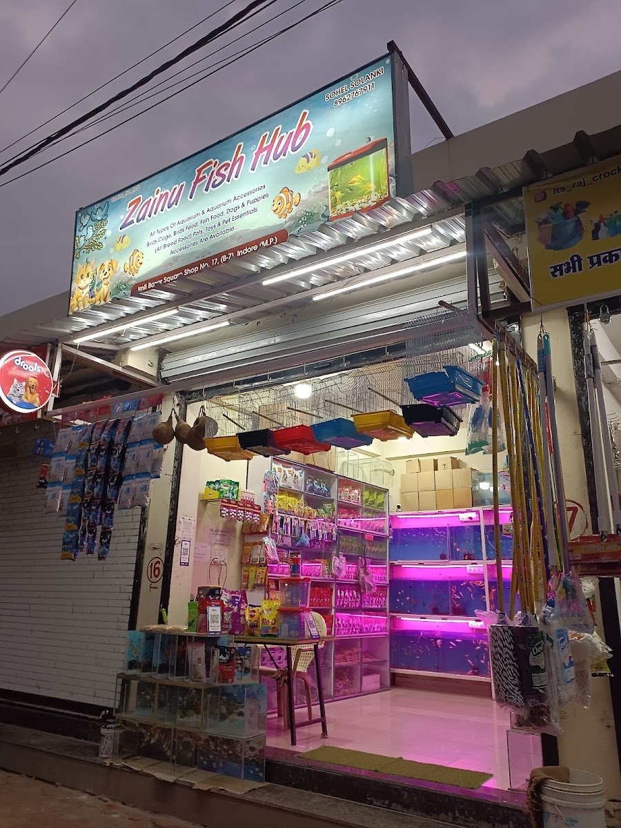 ZAINU FISH HUB - Photo 2