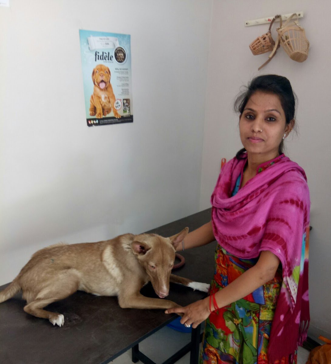 Elixir Pet's Clinic - Photo 2