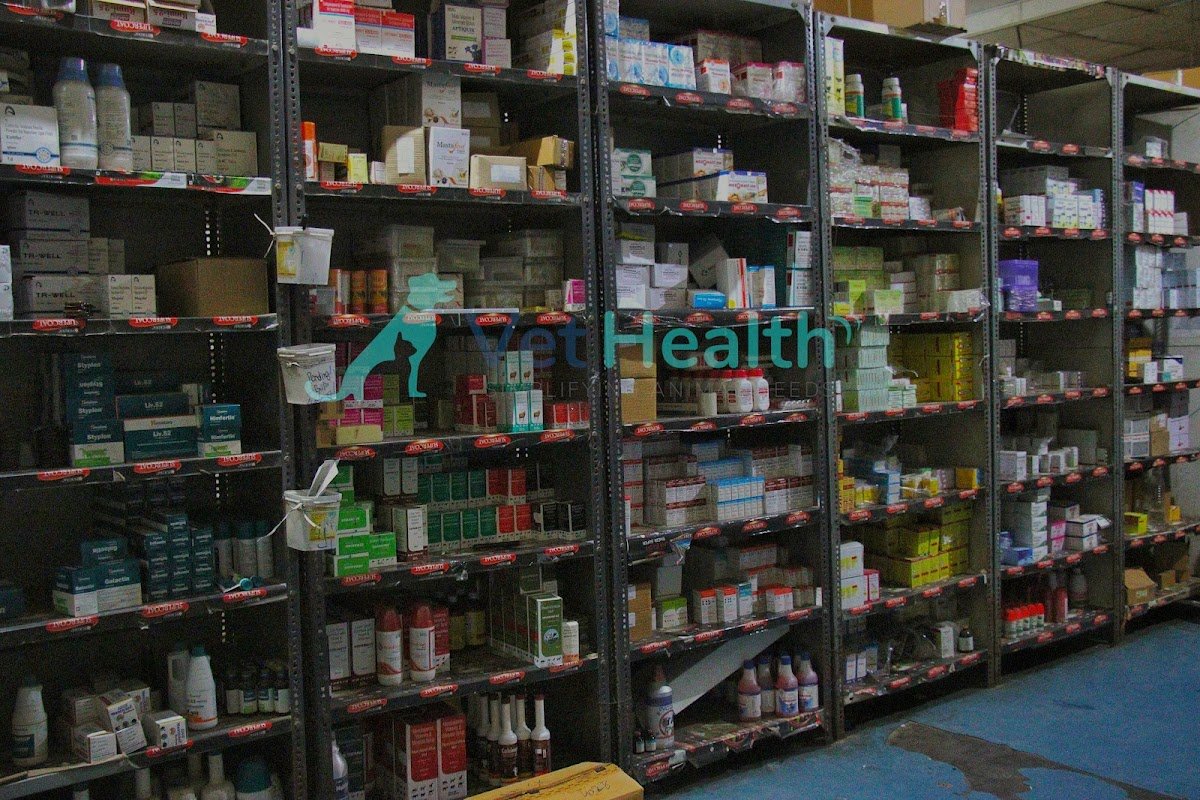 Excel Alliance - Tito Boo Cat Litters, Pet Food and Accessories - Photo 2