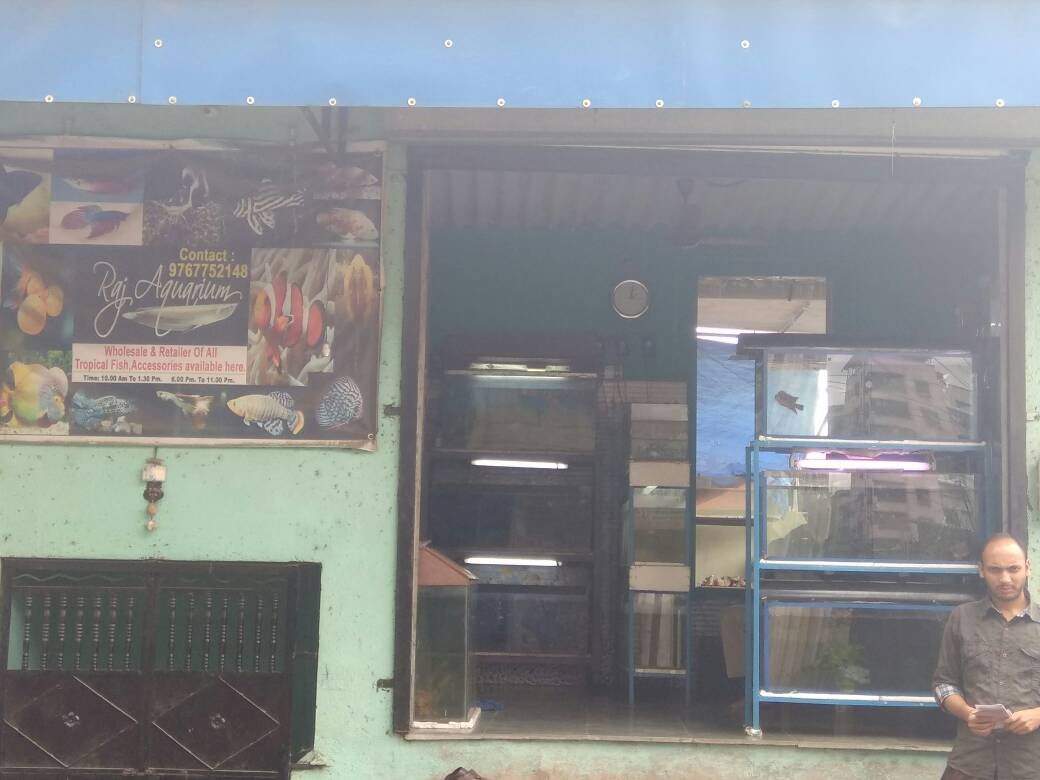 Raj Aquarium - Photo 2