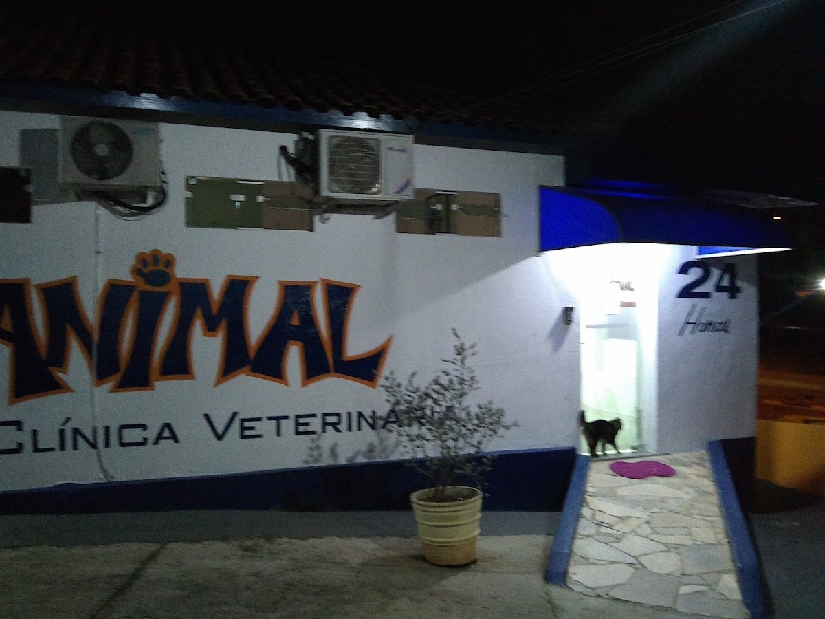 SOS ANIMAL - Pet Shop em Valinhos