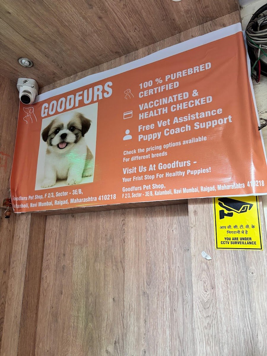 Goodfurs - Photo 2