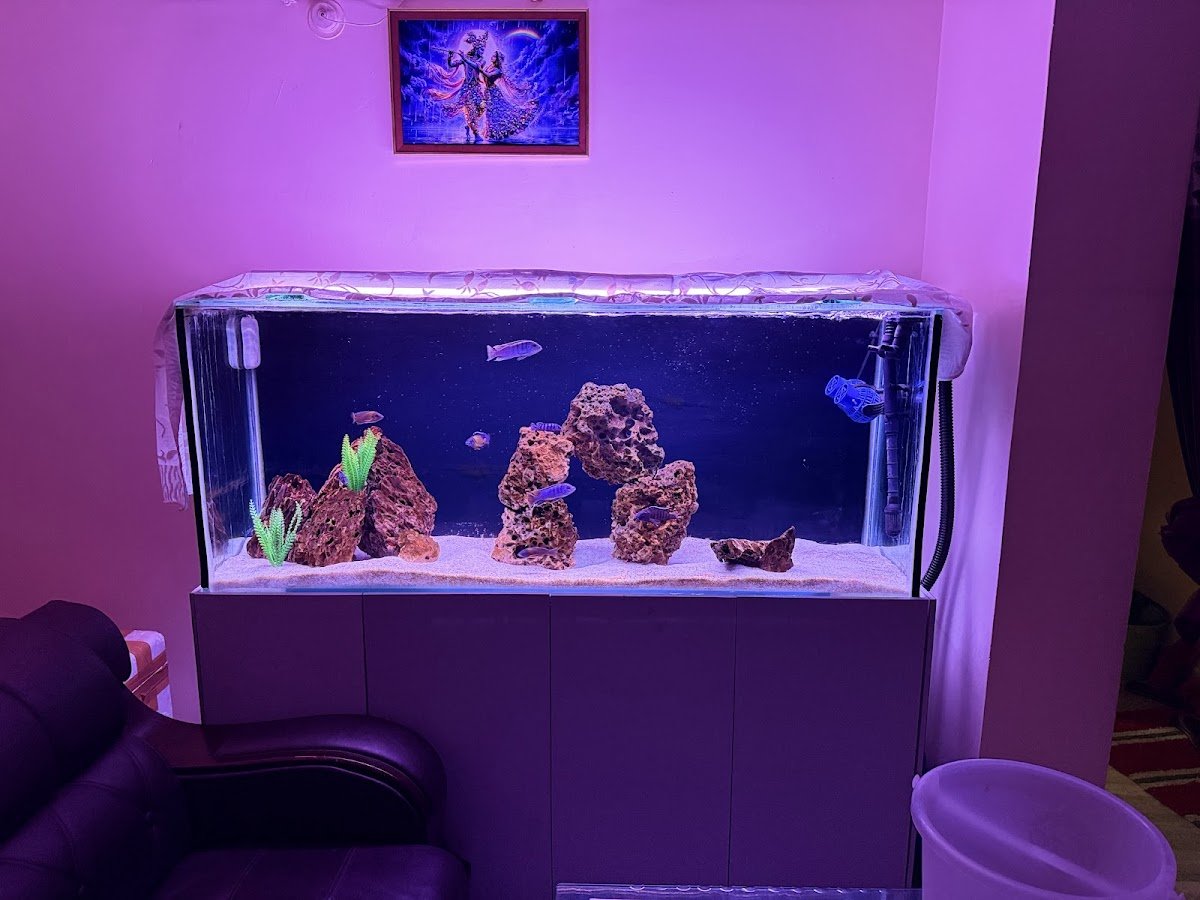 Eva Aquatics - Photo 2