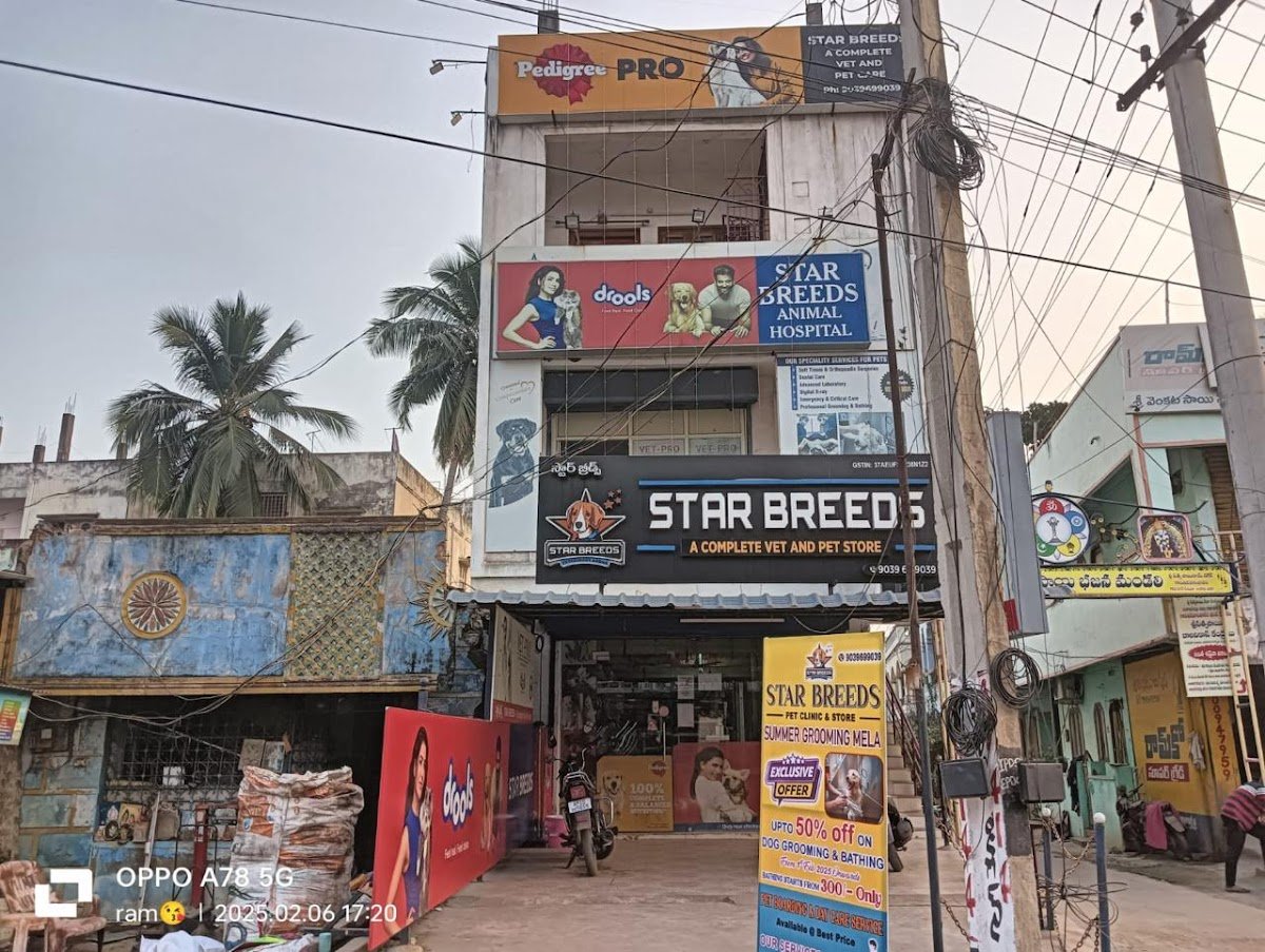 Star Breeds Pet Store and Clinic - Photo 2