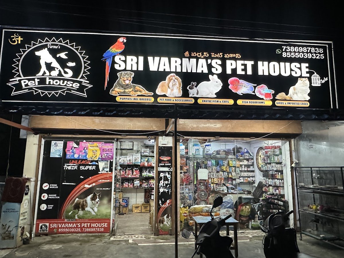 SRI VARMA'S PET HOUSE - Photo 2