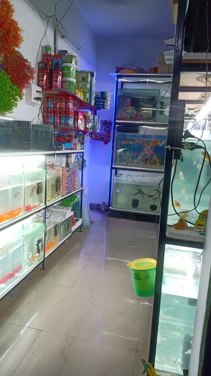 Sri murugan aquarium - Photo 2