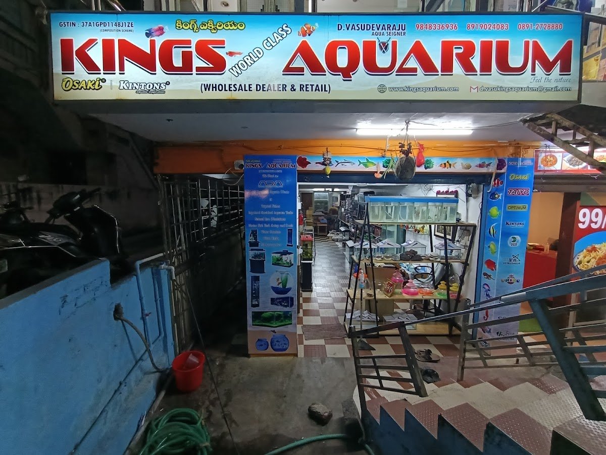 Kings Aquarium & Pets - Photo 2