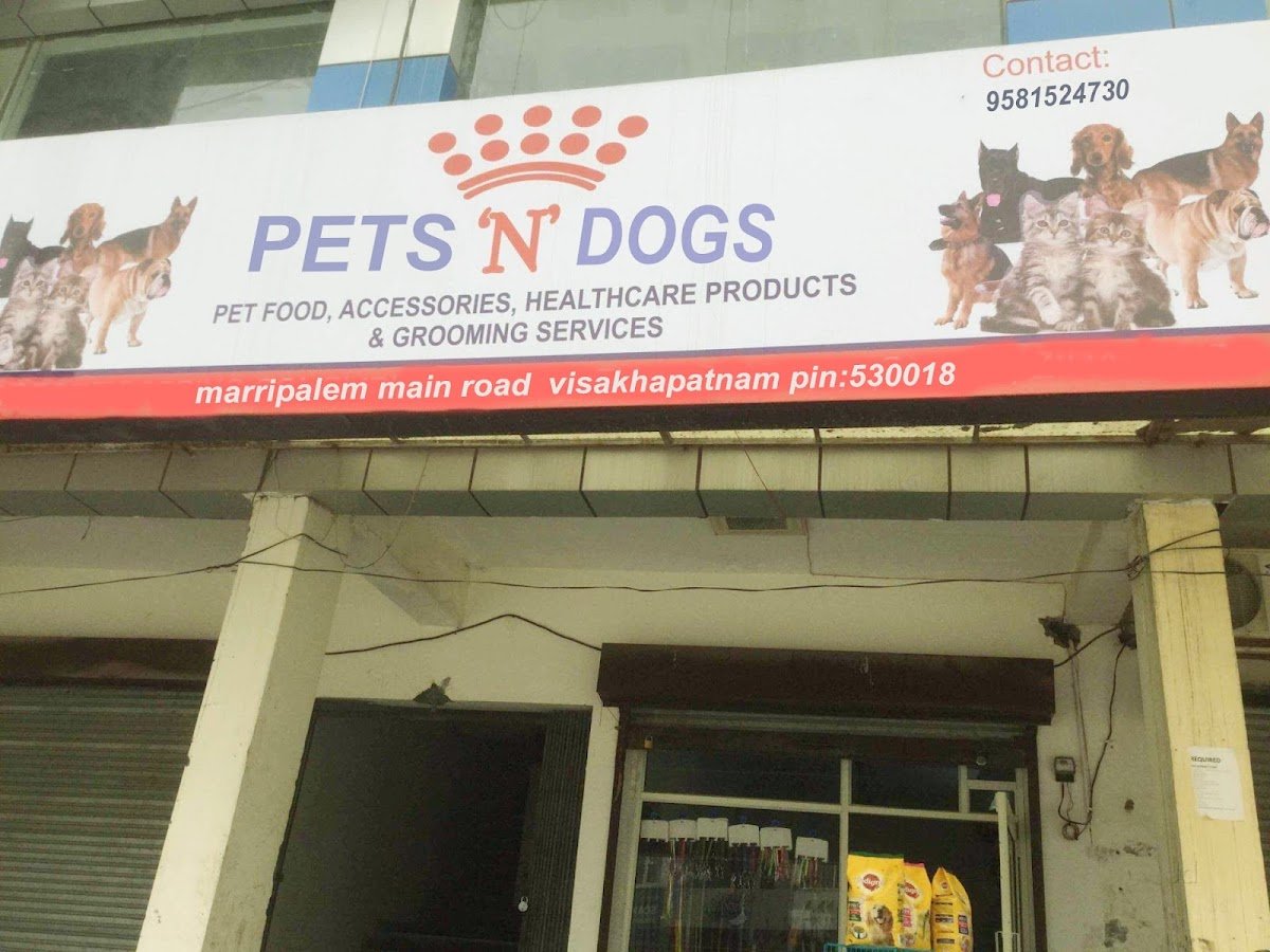 PETS N DOGS - Photo 2