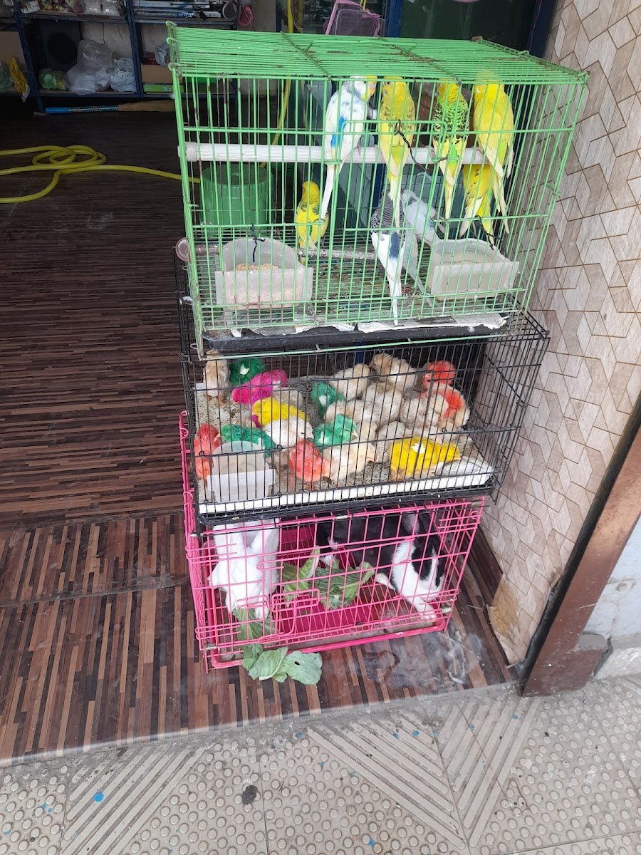 Rrainbow aquarium & pet world - Photo 2