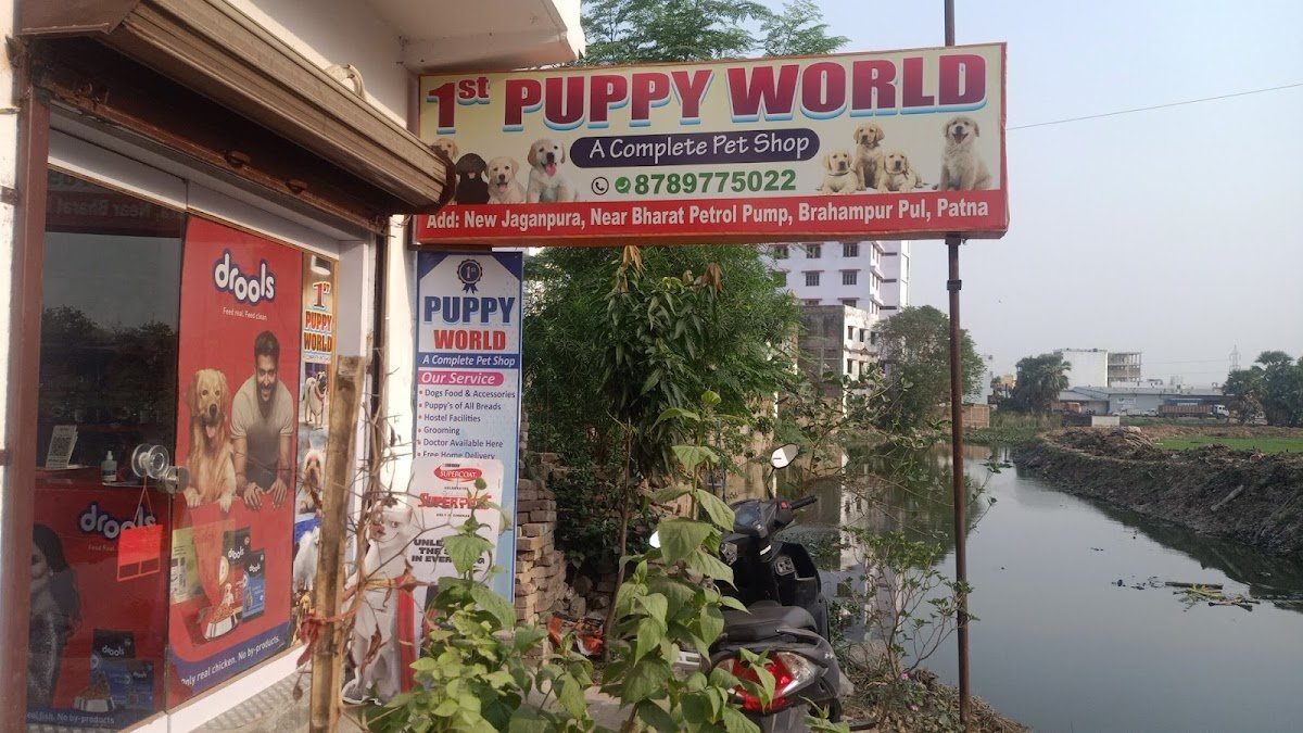 1st PUPPY WORLD - Photo 2