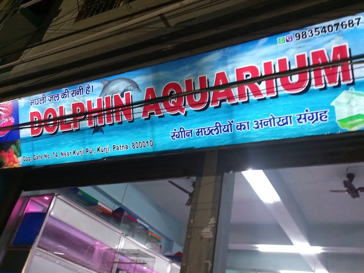 Dolphin Aquarium - Photo 2