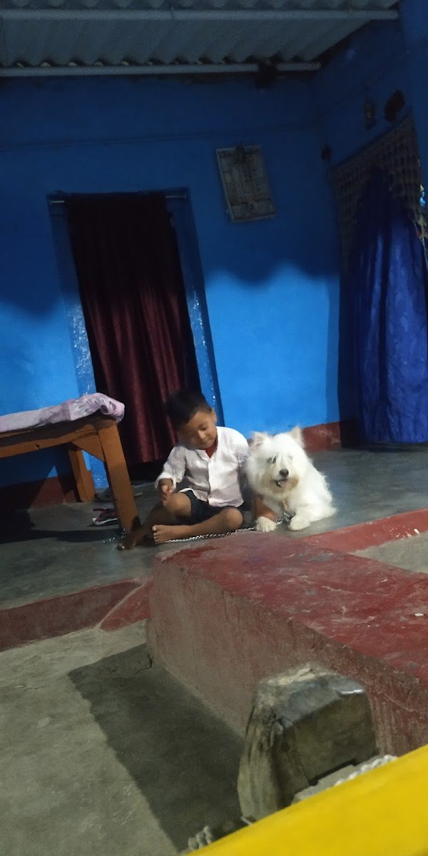 PETS PARADISE - Photo 2