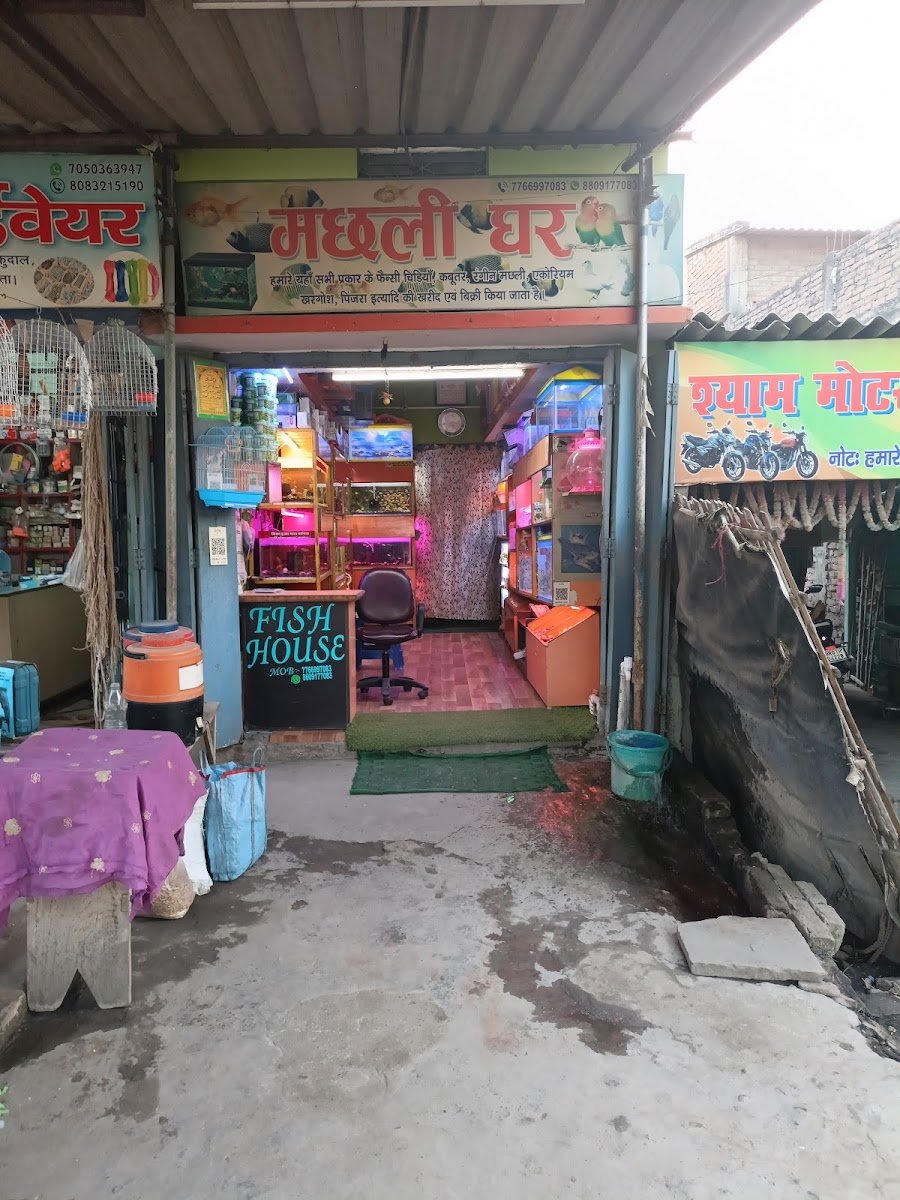 Fish House - Photo 2