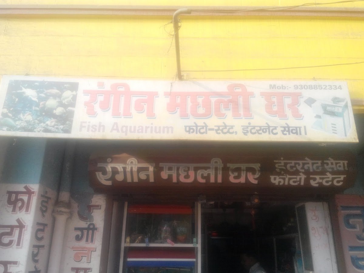 Rangeen Machhali Ghar - Photo 2