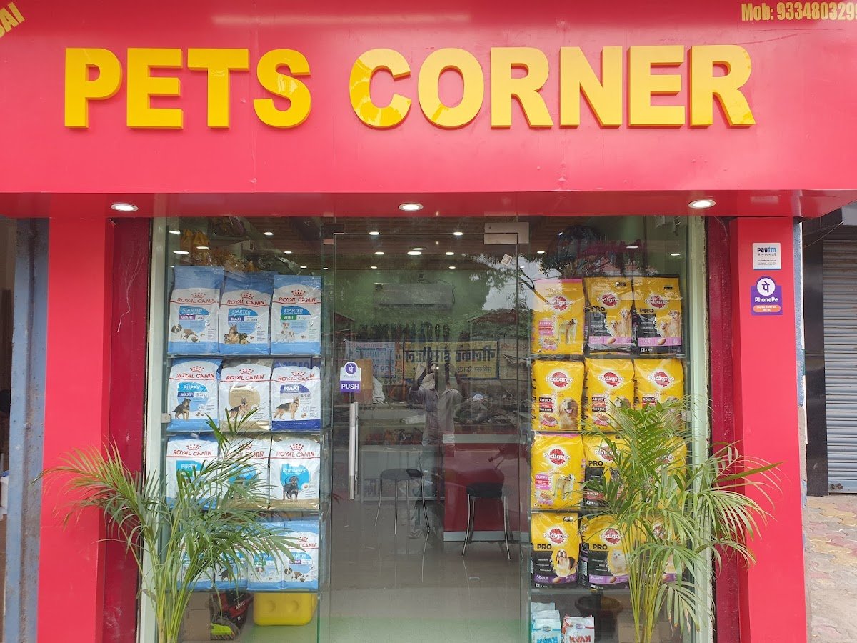 Pet's Corner - Photo 2