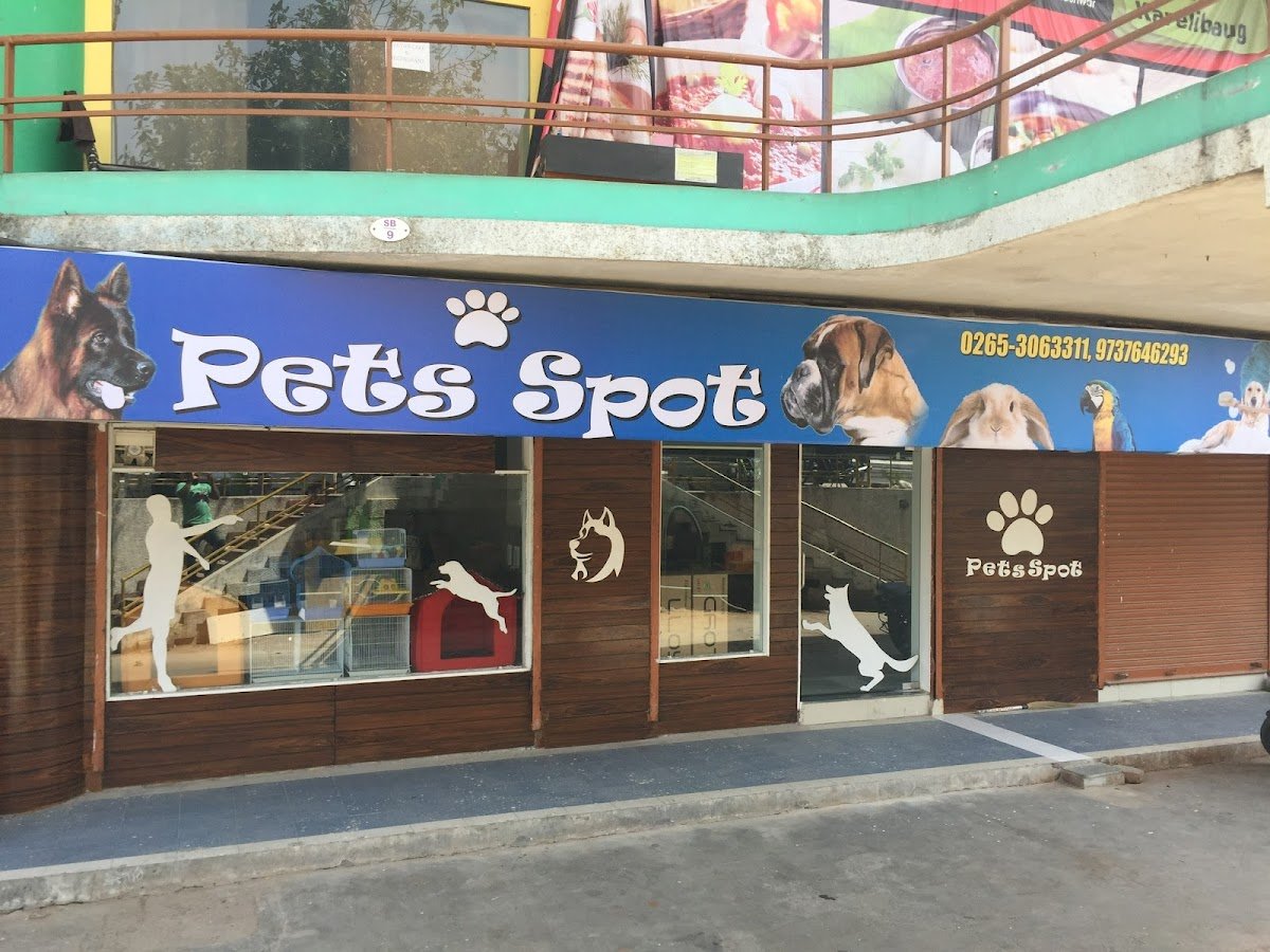 Pets Spot - Photo 2
