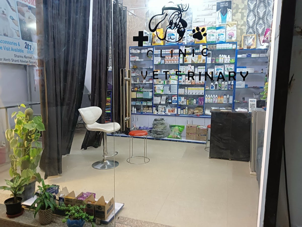 Imagine Pet Clinic - Photo 2
