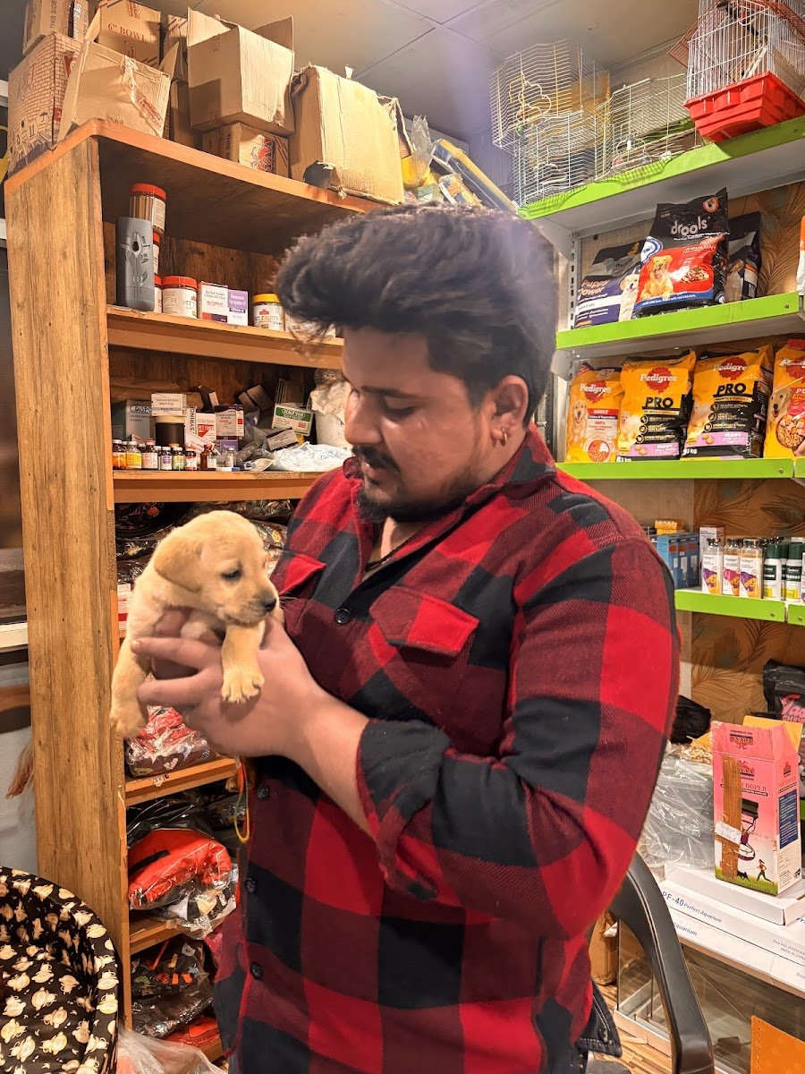 unique pet shop noida - Photo 2