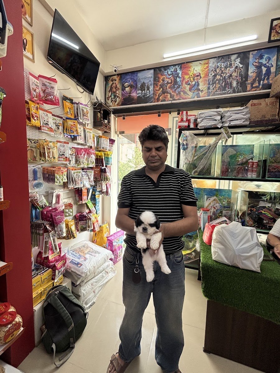 Pet Shop Noida - Photo 2
