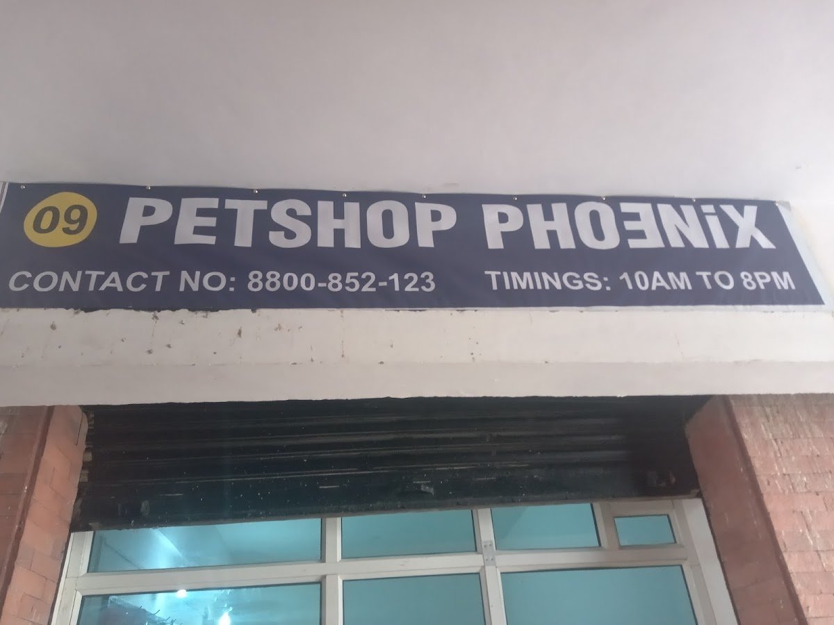 PETSHOP PHOENIX - Photo 2
